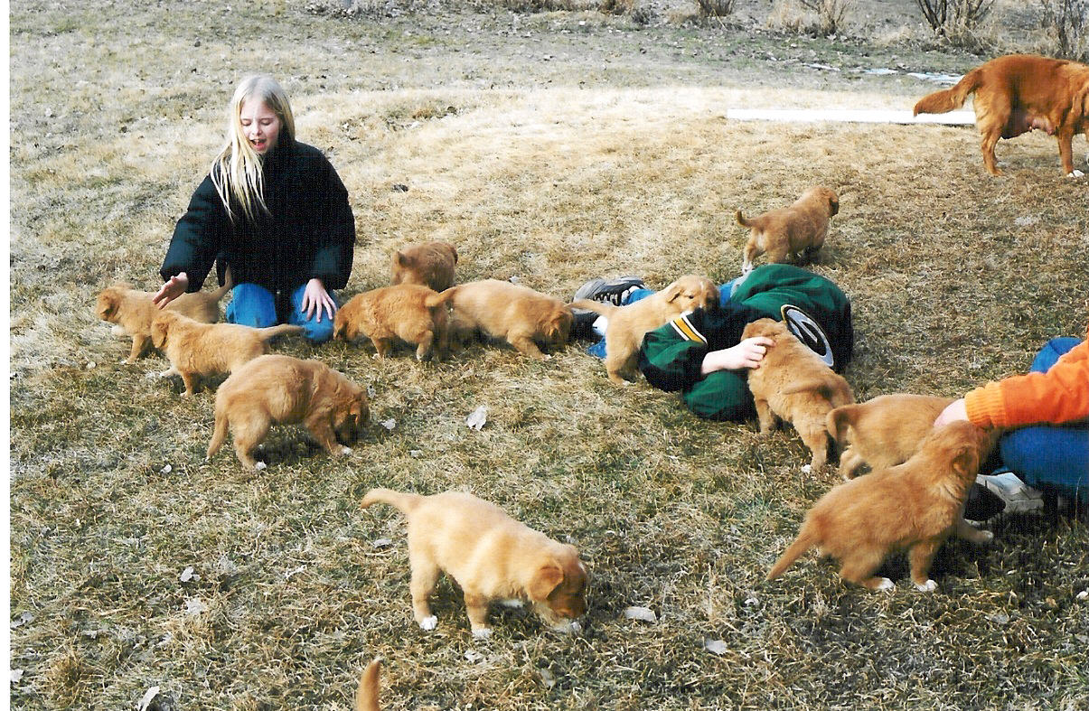 Puppies and kids