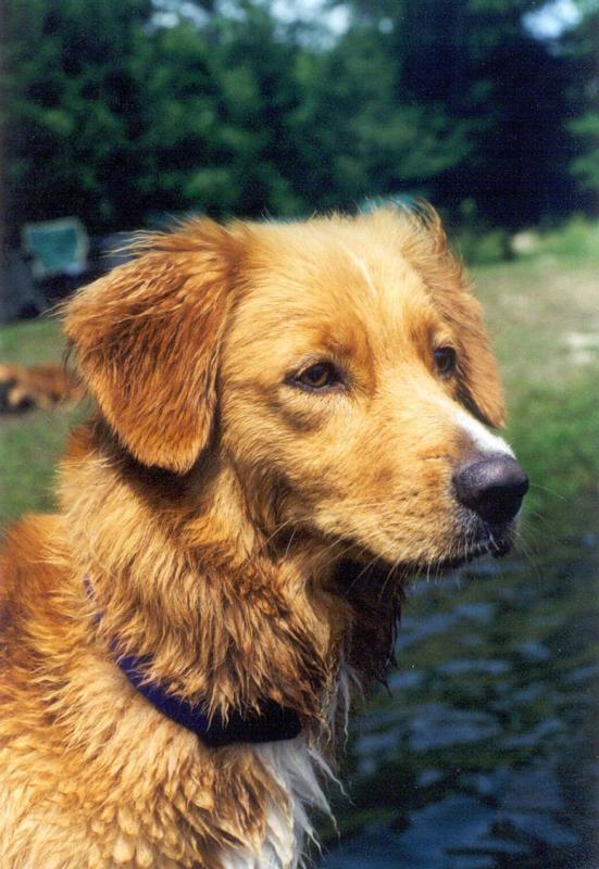 Corrie at the lake