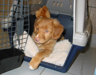 Sadie waiting for her flight