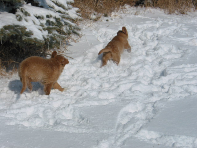 They look like little rabbits!